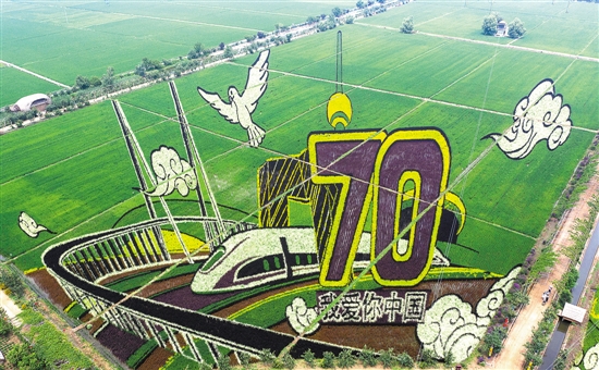 辽宁沈阳兴隆台锡伯族镇往年曾出现的《盛世祥龙》稻田画江苏盐城东台