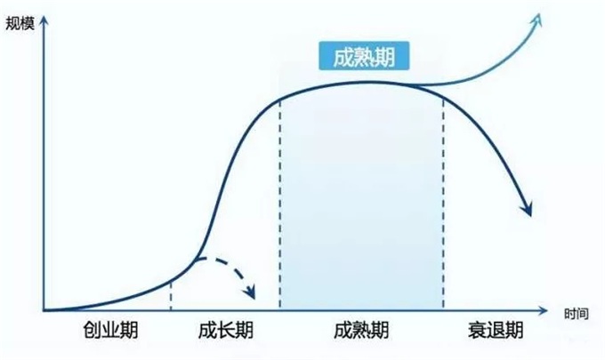 企业的生命周期曲线分为创业期,成长期,迅速扩张期,最后达到顶峰的