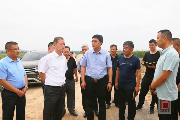 做强做大生猪产业是高平农业产业第一大任务