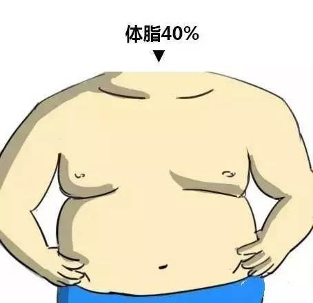 男女体脂对照图 你是哪一种 手机新浪网