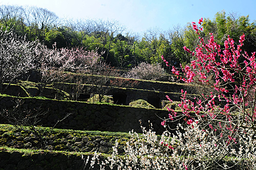 日本岛根县“石见银山”清水谷冶炼所遗址（新华社）