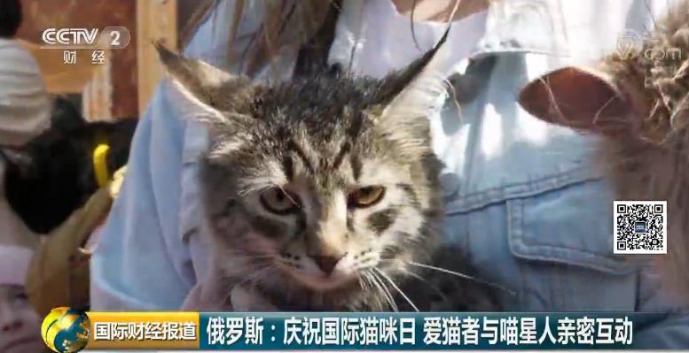 日加撸改成什么