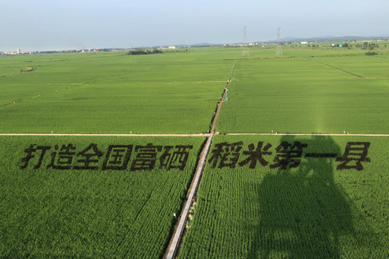 解码中国富硒大米之乡方正县
