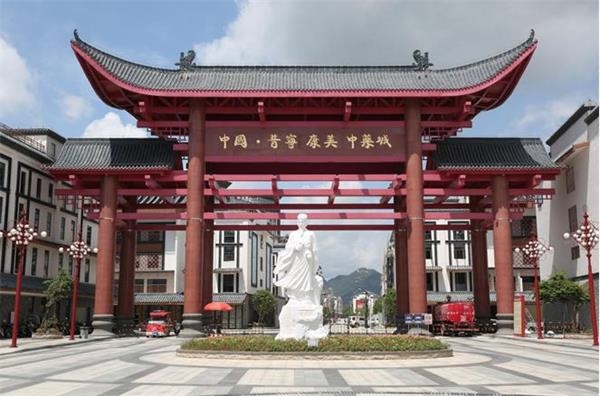 普宁中药城:以贵细中药材为主,经营良好广东普宁是康美的发源地,为