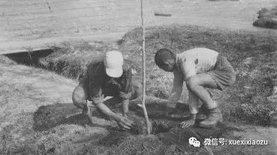 金三胖去的这所甘肃学校 有什么特殊之处? 学生们在种地中学习