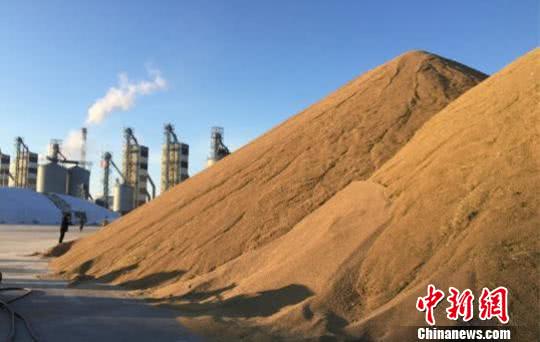 北大荒巨变成大粮仓黑龙江粮食产量70年增15倍