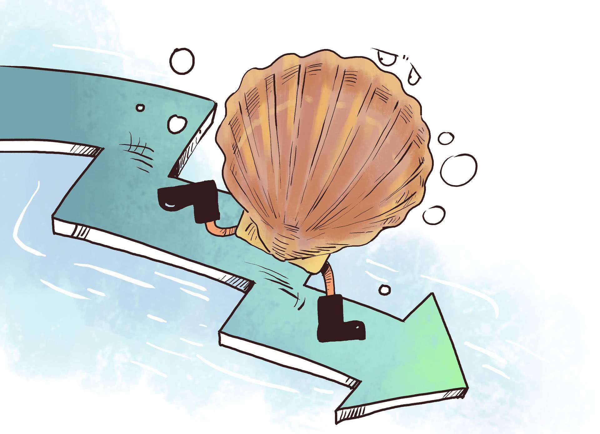 扇贝的规模,构建鱼,贝,藻,参等多品种综合养殖系统,依靠生态效应化解