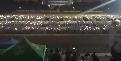 猪肉板块大幅回调 新希望等跌停