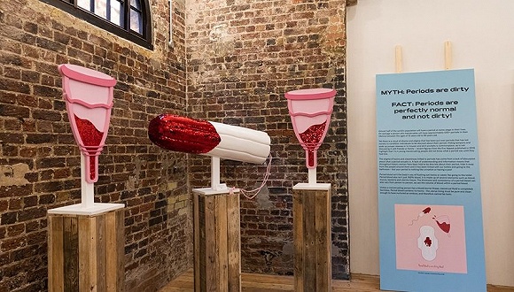 世界上第一间阴道博物馆关于干净包容和社会公共利益