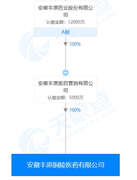 安徽丰原铜陵医药有限公司股权关系图（来源：天眼查）