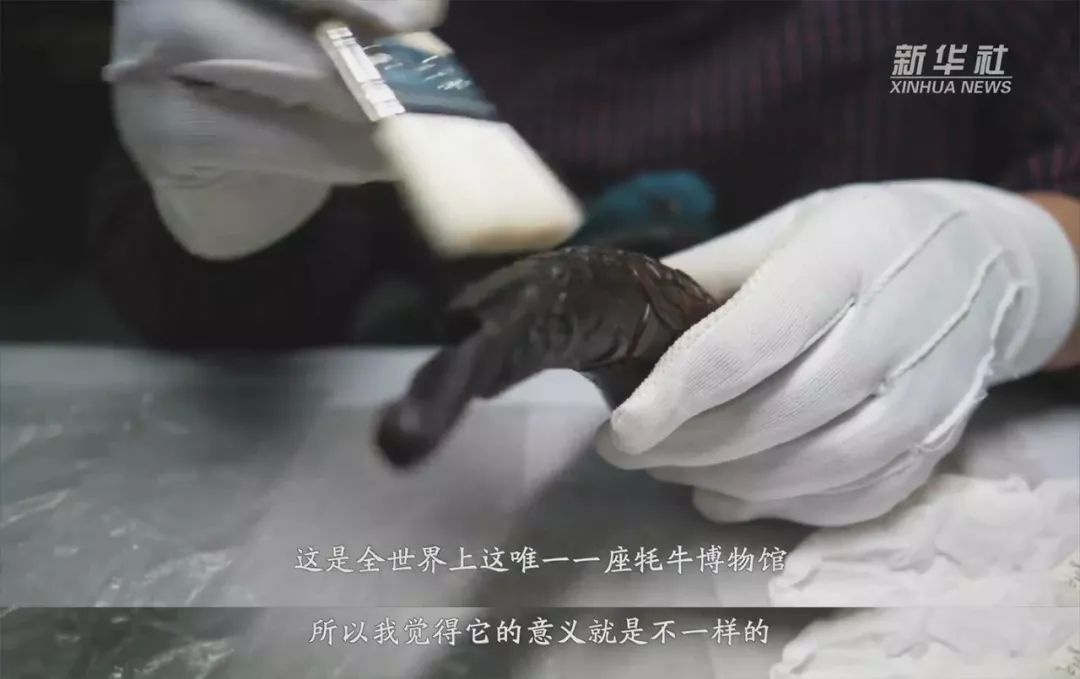 正局级干部56岁辞官干这事 单霁翔都给他当志愿