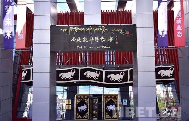 正局级干部56岁辞官干这事 单霁翔都给他当志愿