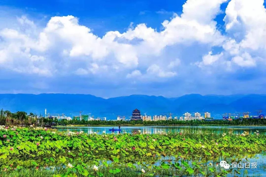 【玩在保山】青华海国家湿地公园,保山人的幸福家园