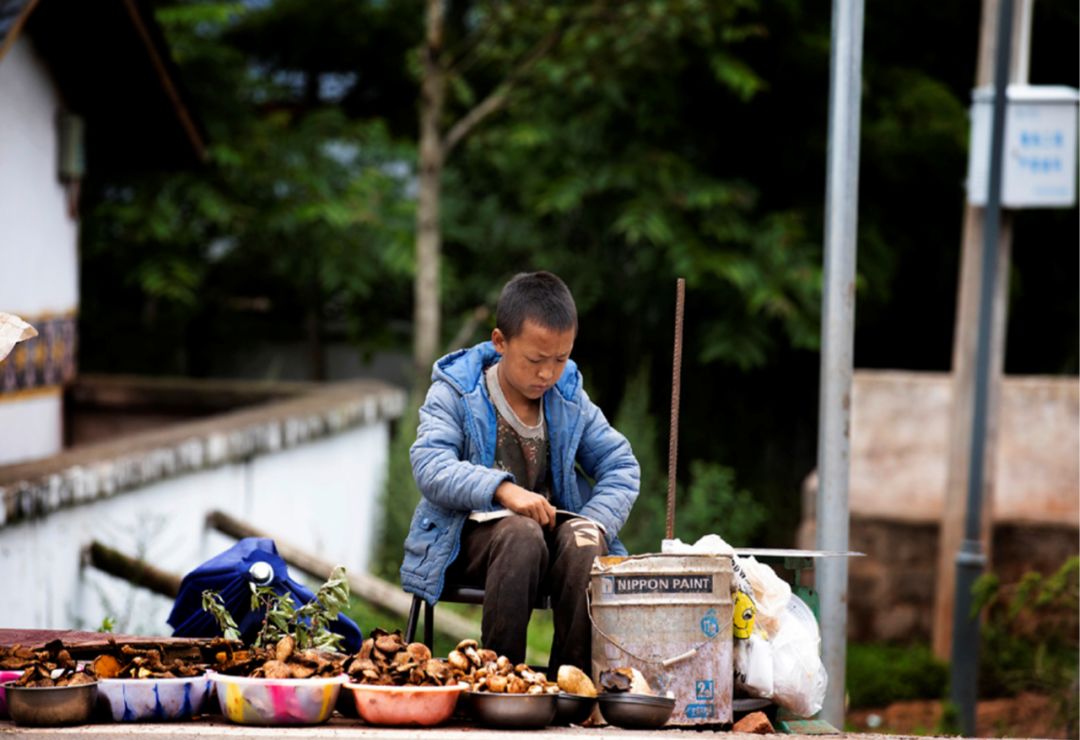 凉山彝族自治州昭觉县哈甘乡瓦屋村 3 年级学生丰博