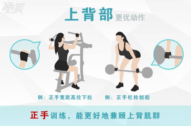 背部进阶,你所需要会的动作。