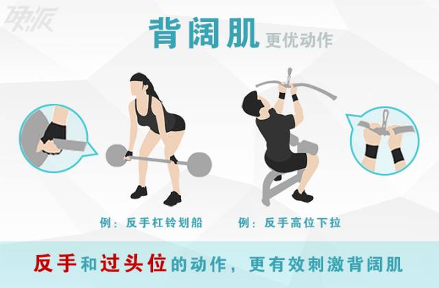 背部进阶,你所需要会的动作。
