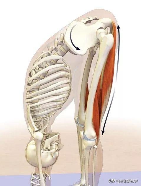 瑜伽腘绳肌紧,前屈下不去?试试这样练