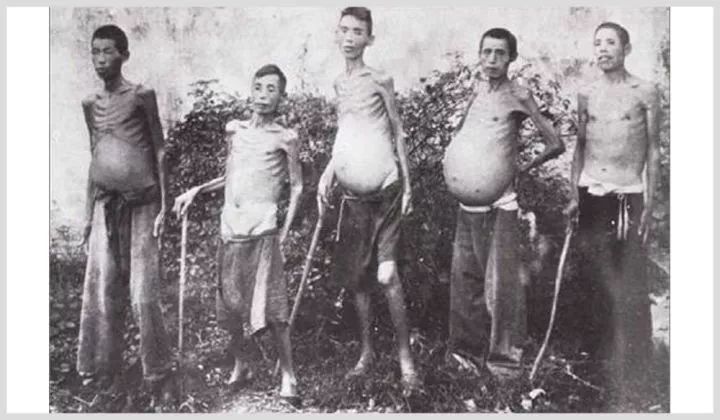 江西的余江县,从1920年到1950年,一个县累计有2万9千人死于血吸虫病