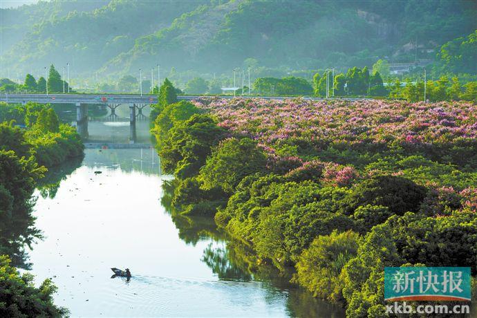 中山吹响乡村振兴号角 全域推进美丽乡村建设