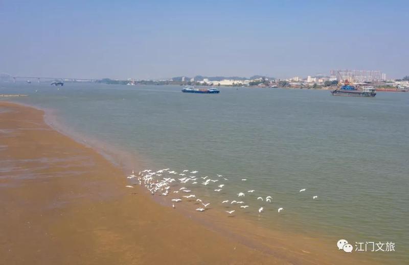 在江门的潮连沙滩公园,又到一年初冬时,私藏了许多不为人知的美景!