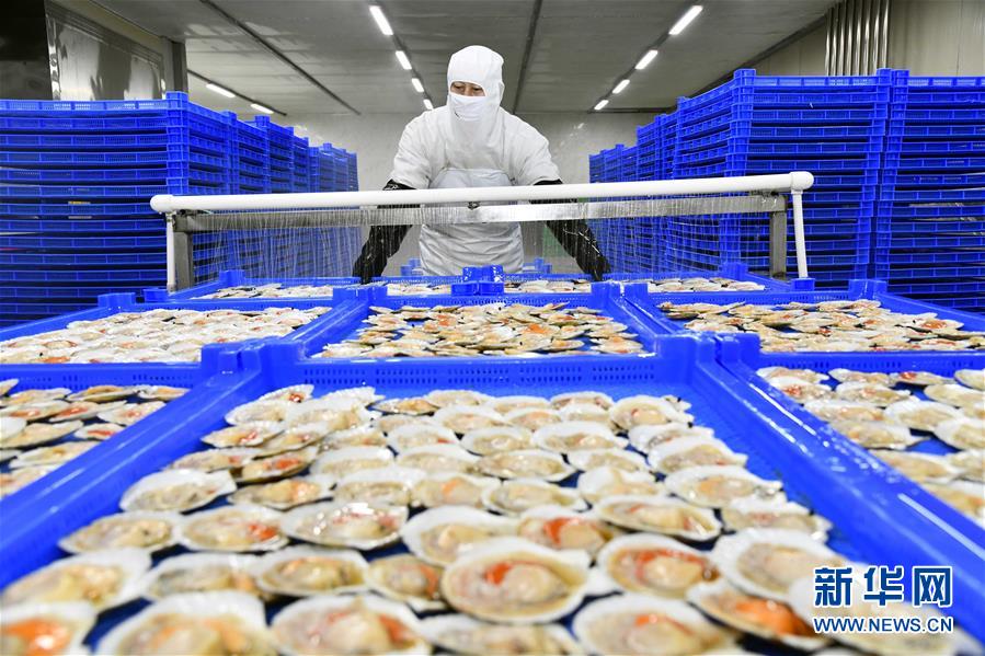 正文     山东省乳山市依托自身区位优势,积极发展海洋食品加工产业