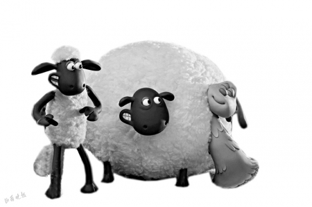 黑绵羊动画片图片
