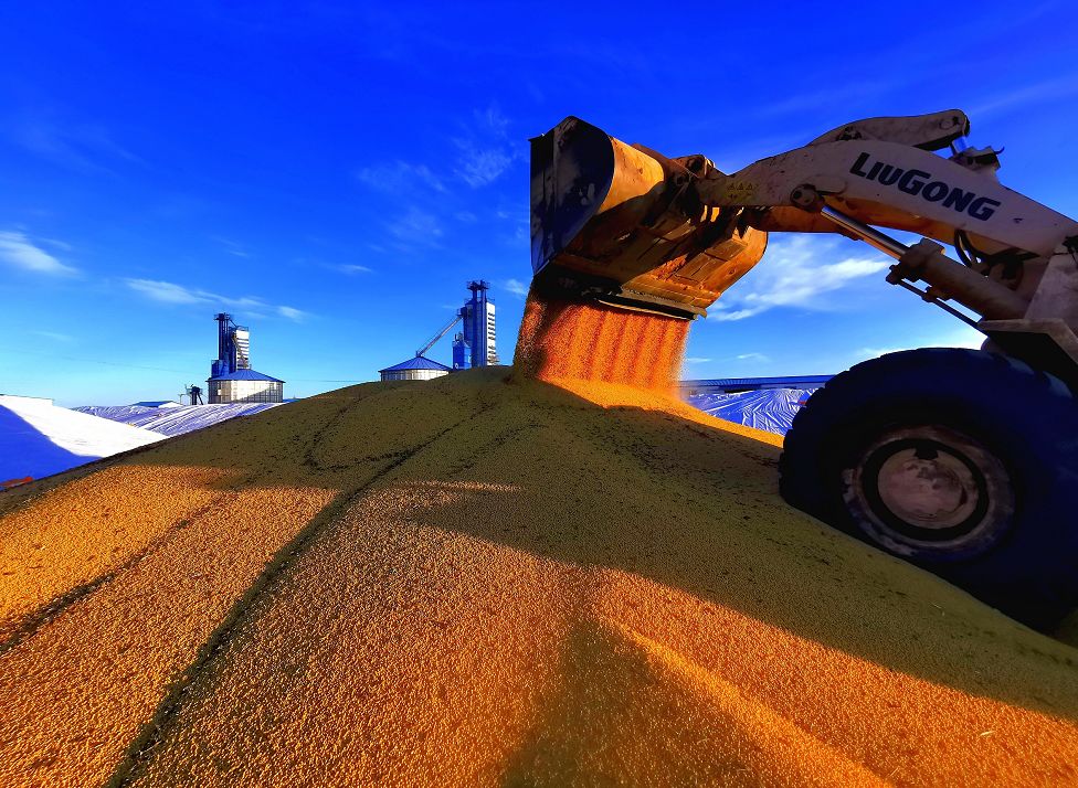 喜报来了1500亿斤中华大粮仓十六连丰