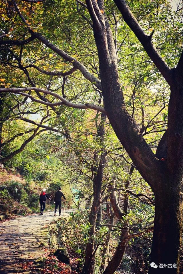 大罗山老鼠梯红枫古道 ,太美了