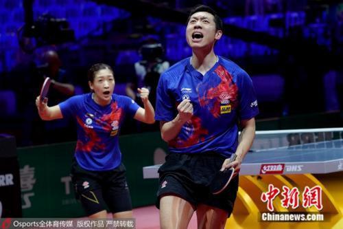 资料图:许昕、刘诗雯在比赛中。图片来源:Osports全体育图片社