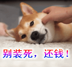 快过年了泾阳欠钱不还的都看看