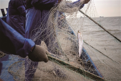 再见!长江捕捞船