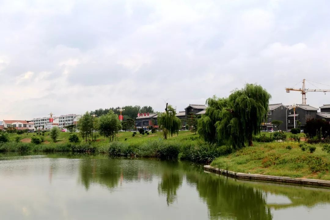 临朐这个镇全省出名了!快看看是你家乡吗?