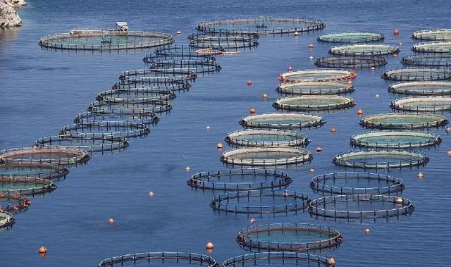 我国水产养殖业存在的主要问题及未来发展趋势