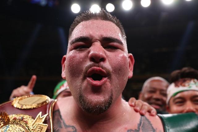 小鲁伊兹发表声明,称已经回到拳馆开始训练,目标还是世界拳王