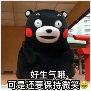 熊本熊表情包 图源：网络