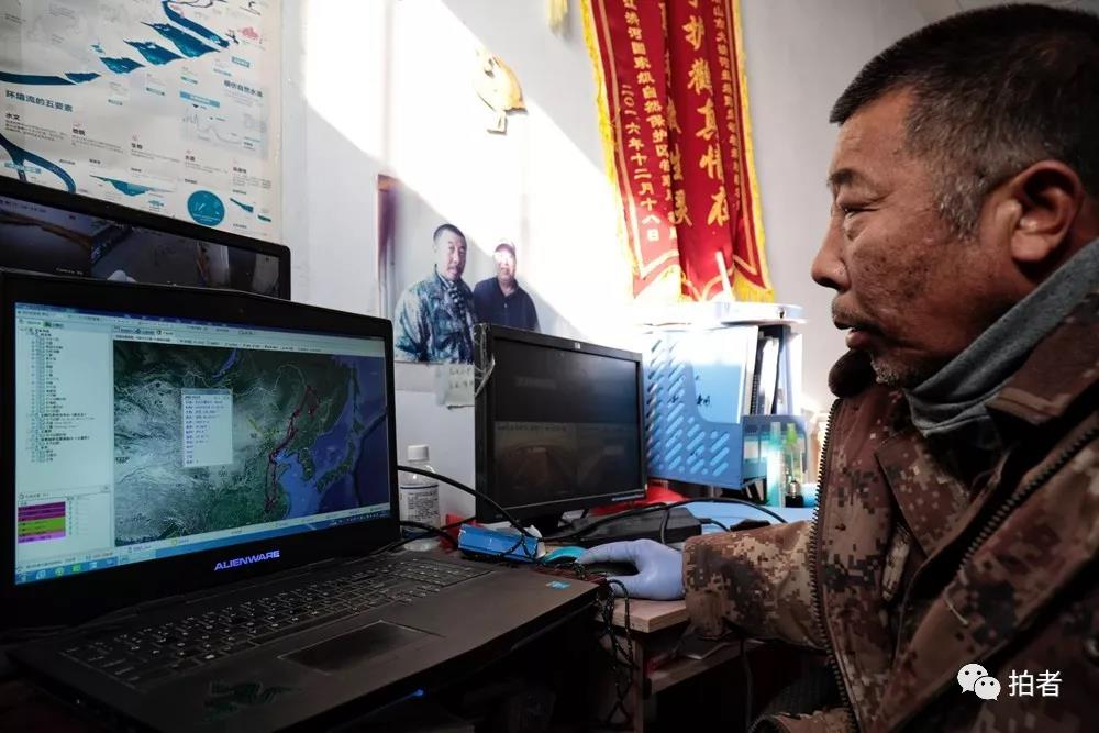  △ 12月7日，田志伟正在用电脑观察候鸟的位置和历史飞行路线。