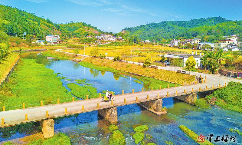 上午9点多,记者刚到平远河头圩,吴立辉便远远地迎上来:皮肤黝黑,面带
