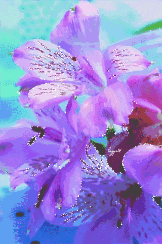 320_480竖版 竖屏gif 动态图 动图