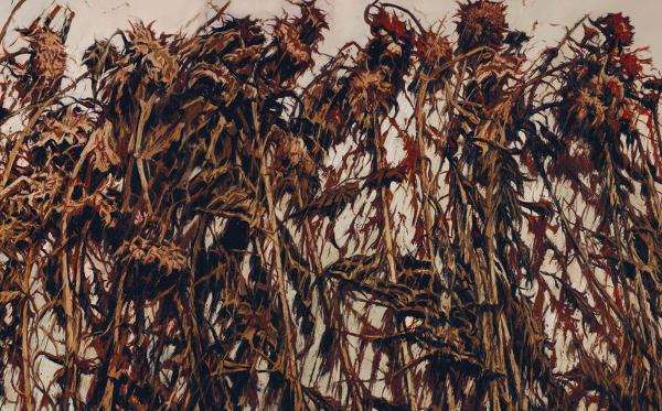 十六载以葵写意艺术家许江将在山东最大规模呈现葵颂