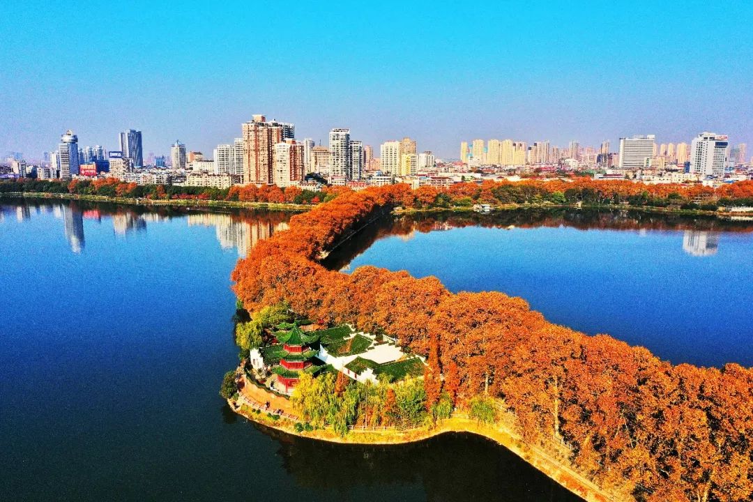 初冬绝美李公堤:每日穿梭其中,竟没想到九江那么美!