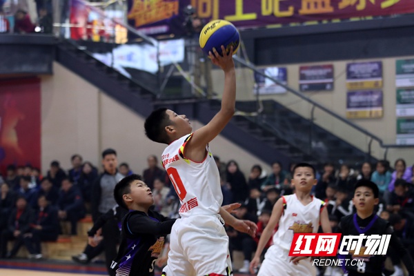 CBA盘口与数据深度__今日CBA盘口分析·大小分策略·球队档案山东省男子篮球联赛点燃热情：魏桥创业20连胜再夺冠