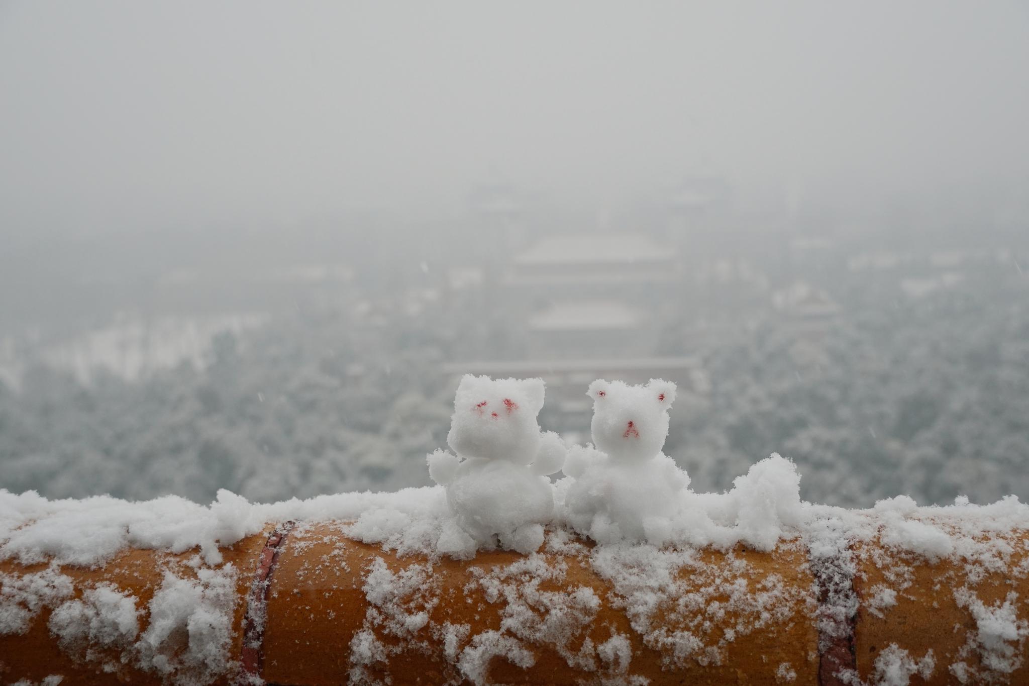 雪中漫步 北京市属公园半日迎6万余游客赏雪(图