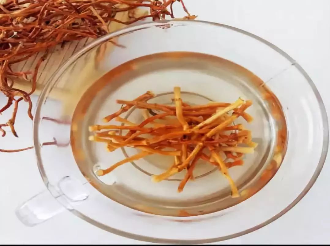 小小鱼腥草药用大功效