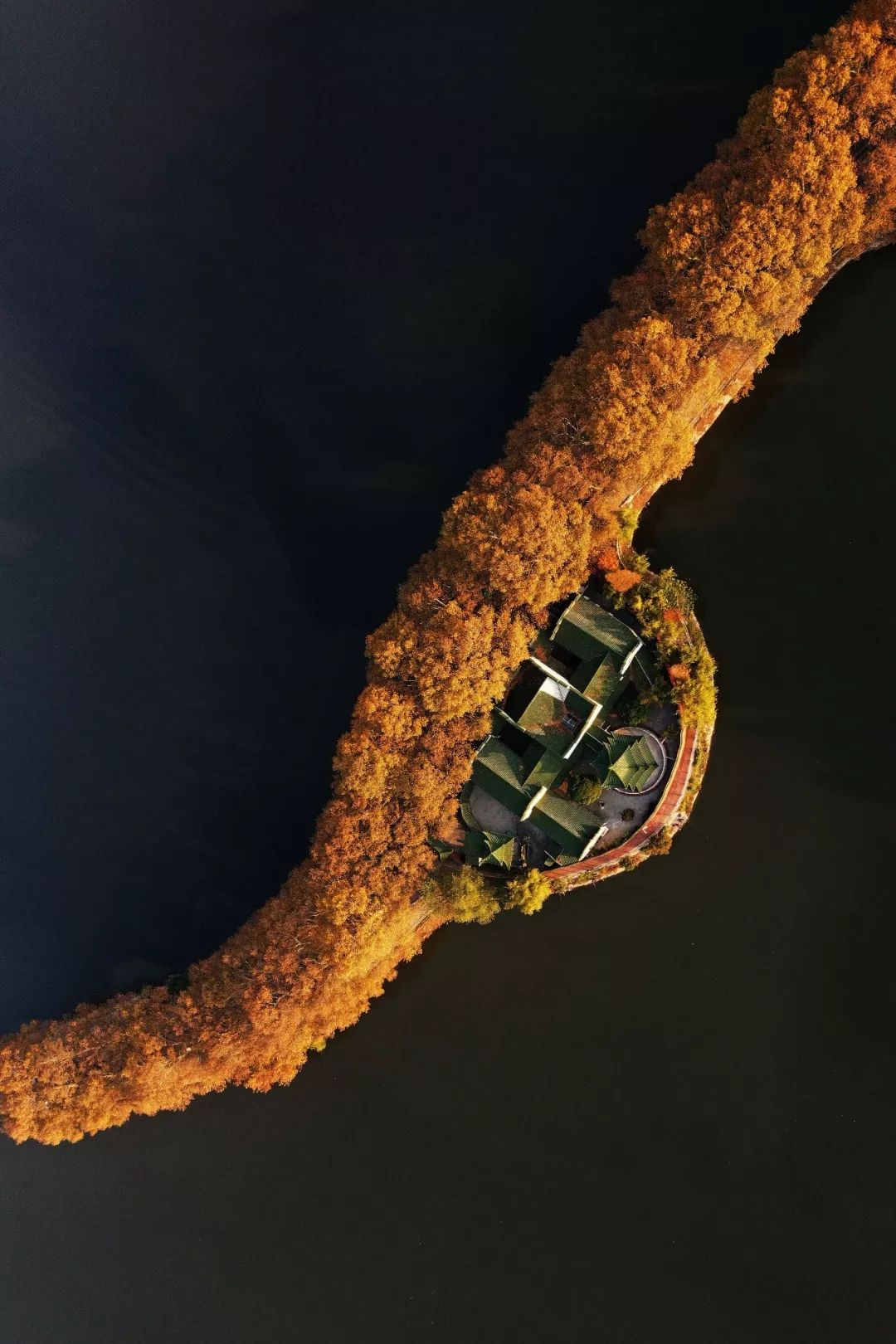 初冬绝美李公堤:每日穿梭其中,竟没想到九江那么美!