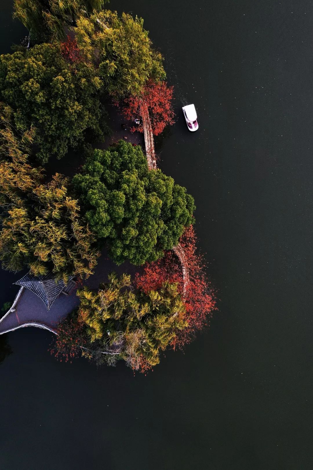 初冬绝美李公堤:每日穿梭其中,竟没想到九江那么美!