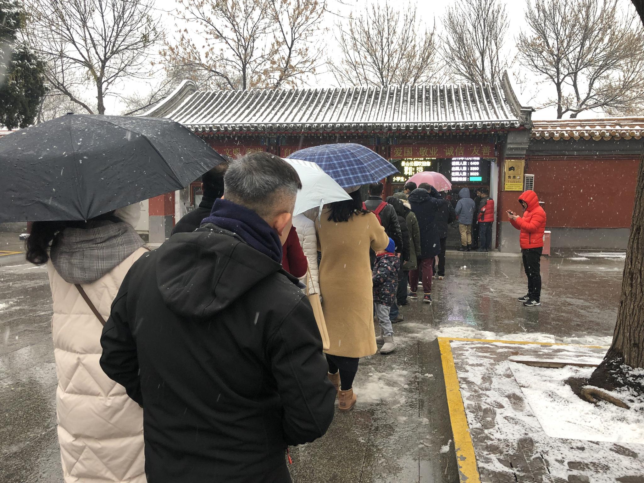 今日10时许，景山公园西门，购票的游客排起长队。新京报记者 张静姝 摄