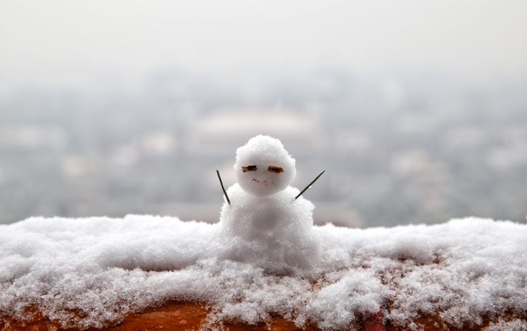第二场雪镜头四堆雪人赏雪景