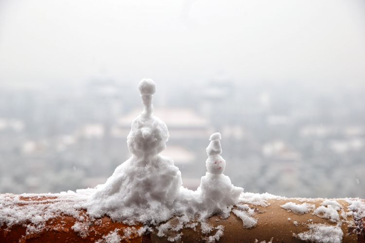 景山公园，“父与子”。新京报记者 薛珺 摄