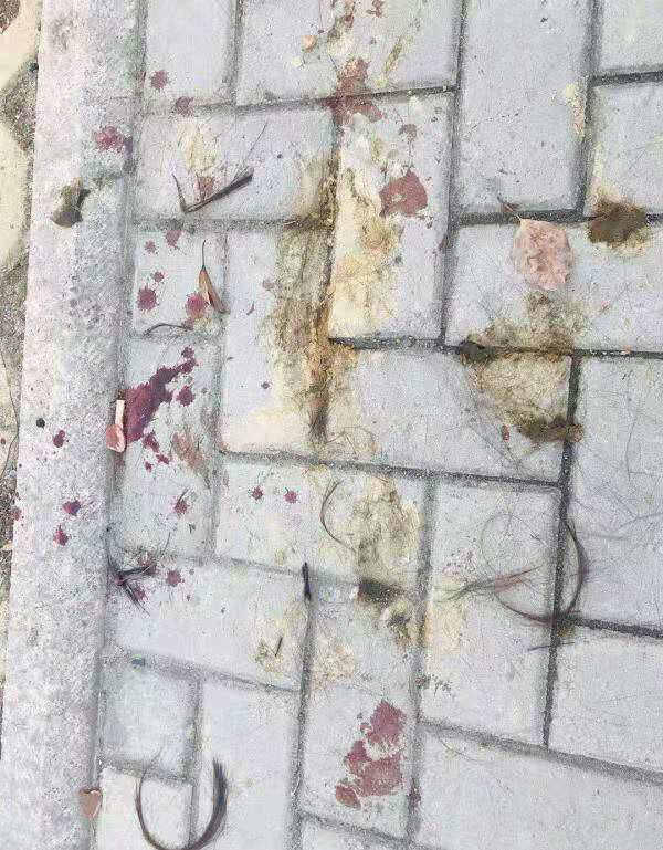 温州一女子被怀疑出轨 在路口遭公公和丈夫暴打