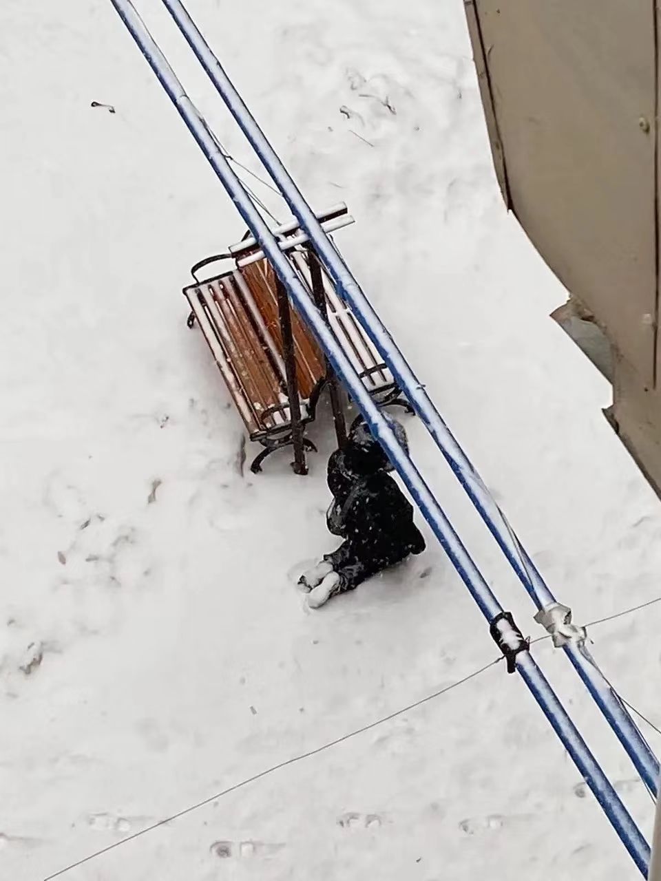 初中女孩被罚跪雪地3小时:很多时候,父母才是孩子的第一个霸凌者